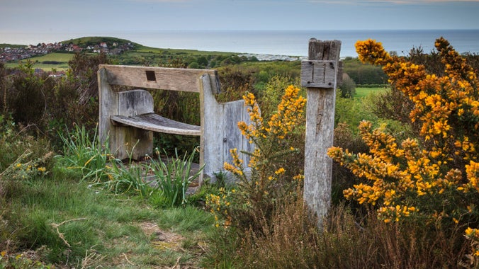 View towards Beeston Bump and the sea, Norfolk with gorse in flower nearby